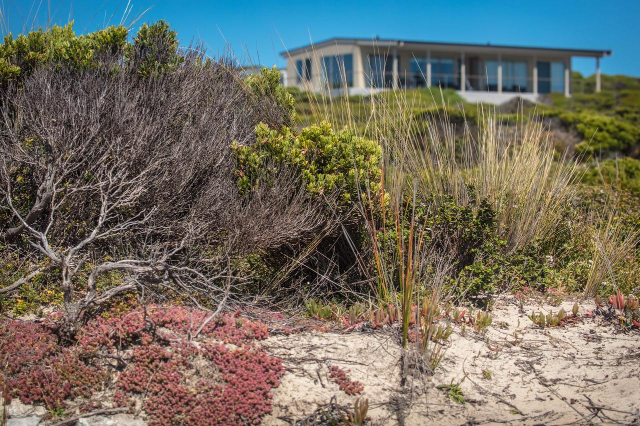 Hanson Bay Cabins كنغزسكوت المظهر الخارجي الصورة